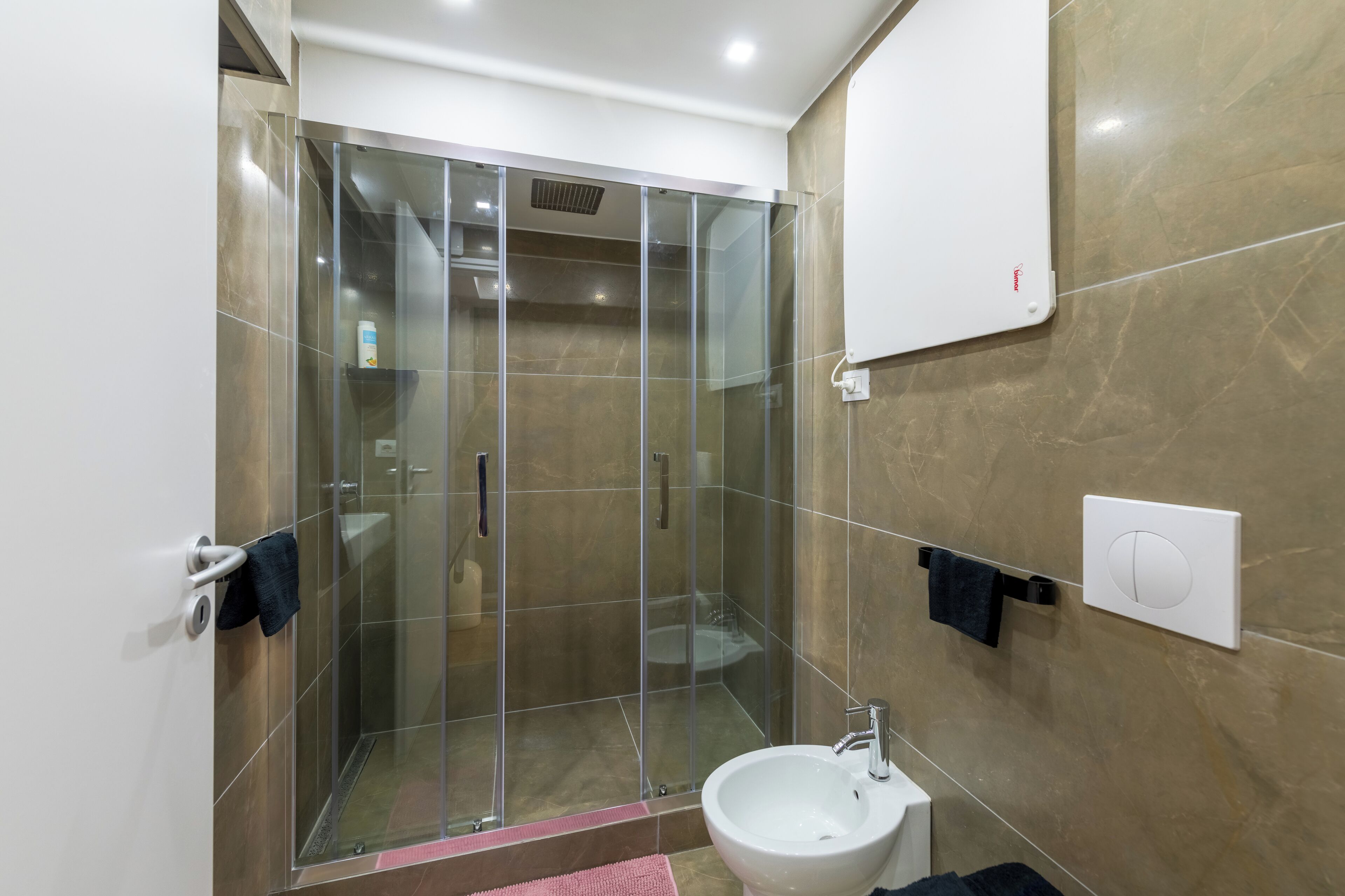 Shower, hair dryer, bidet, towels