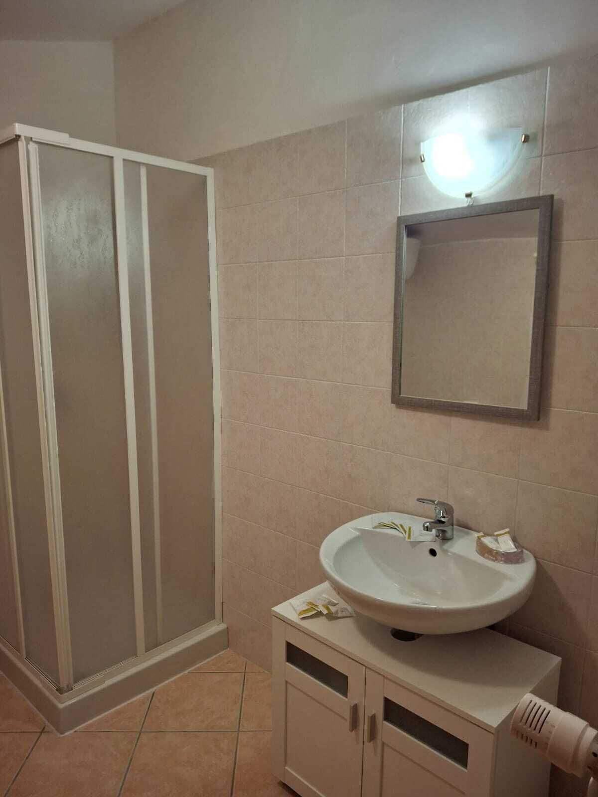 A bathroom with a shower, sink, and mirror.