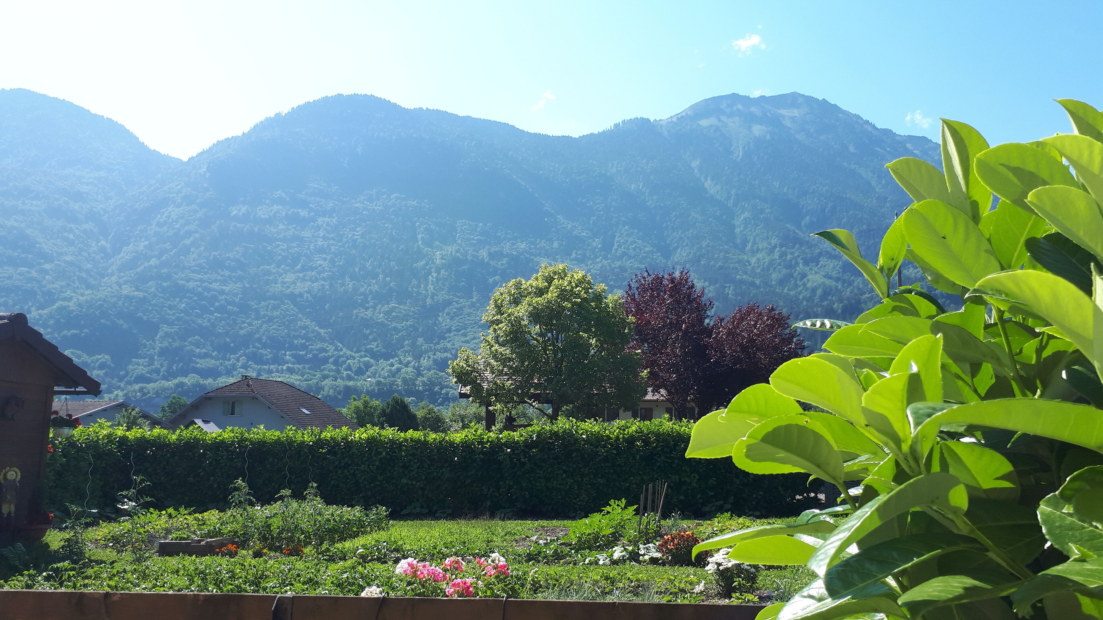 Áreas de la propiedad