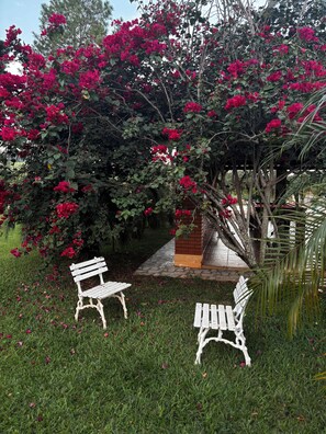 Terrace/patio - Villa Santana | Exclusive country house with pool, comfort and mountain views (São Pedro)