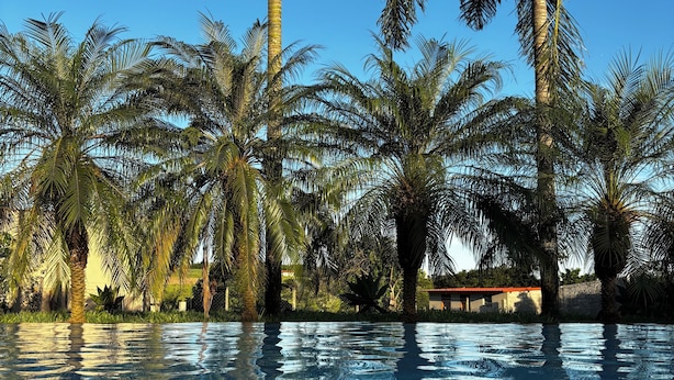 Una piscina rodeada de palmeras.