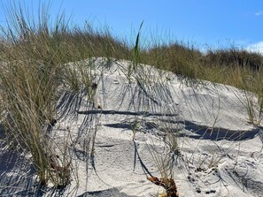 Una playa arenosa con poca vegetación y cielo despejado.