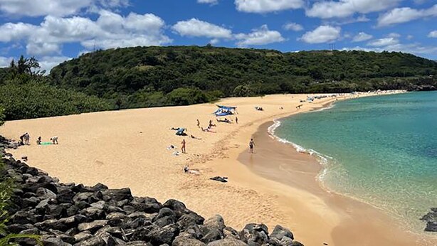 A beach with clear turquoise water, sandy shore, and a forested hill in the background. - "Waimea Vista" | Oceanfront, Walkable to Beaches (Haleiwa)