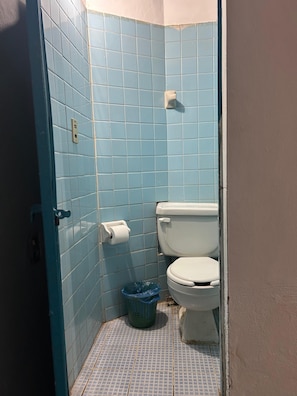 Shower, towels, soap, toilet paper - Hotel Familiar Las Palmas (Las Varas)