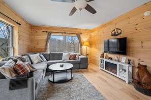 Living area - Peaceful 2-bedroom cabin with AC in charming Lake Lure (Lake Lure)