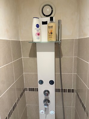 Hair dryer, towels, soap, shampoo - La Dracysienne (Dracy-le-Fort)