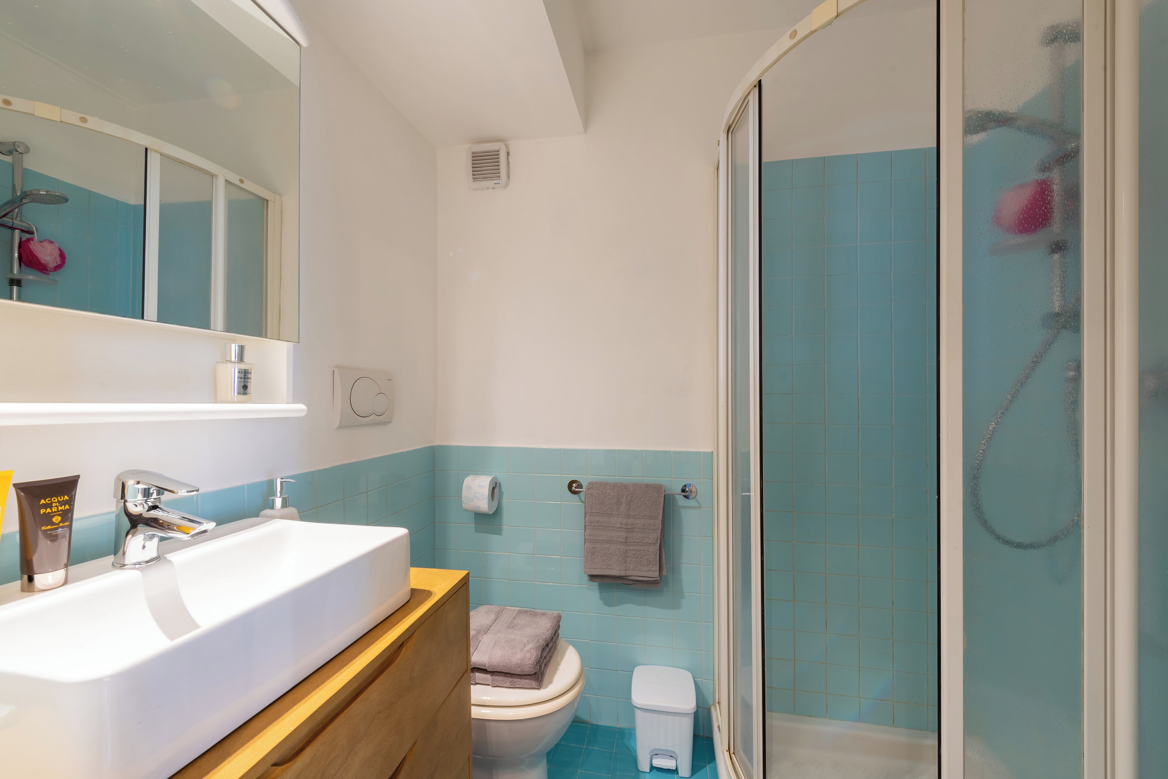Shower, hair dryer, bidet, towels