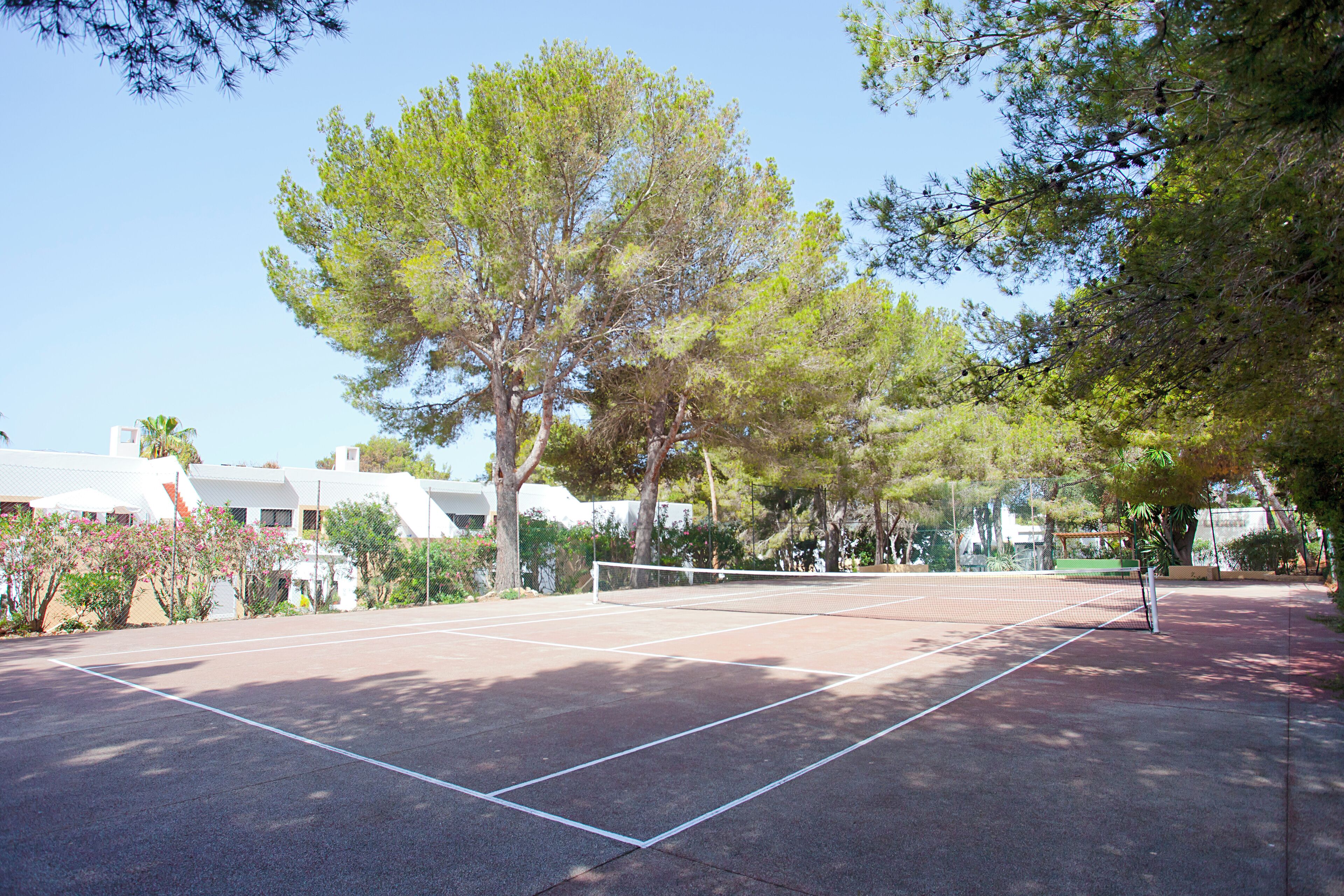 Sport court