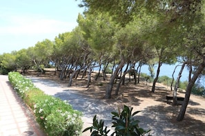 Superior Apartment, 2 Bedrooms, Balcony, Sea View | Property grounds - APARTAMENTOS CLUB CALA AZUL (Santa Eulalia del Rio)