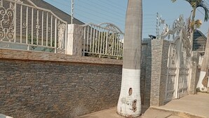 Een omheind gebied met een stenen muur, een metalen poort, een palmboom en een betonnen pad.