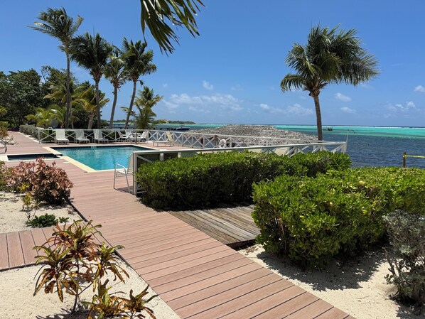 Pool - Little Cayman Time - CC 18 - Beachfront 2-bedroom Condo w/ 2 pools and Jacuzzi (Blossom Village)
