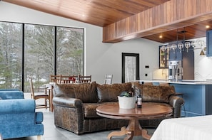 Smart TV, fireplace, books