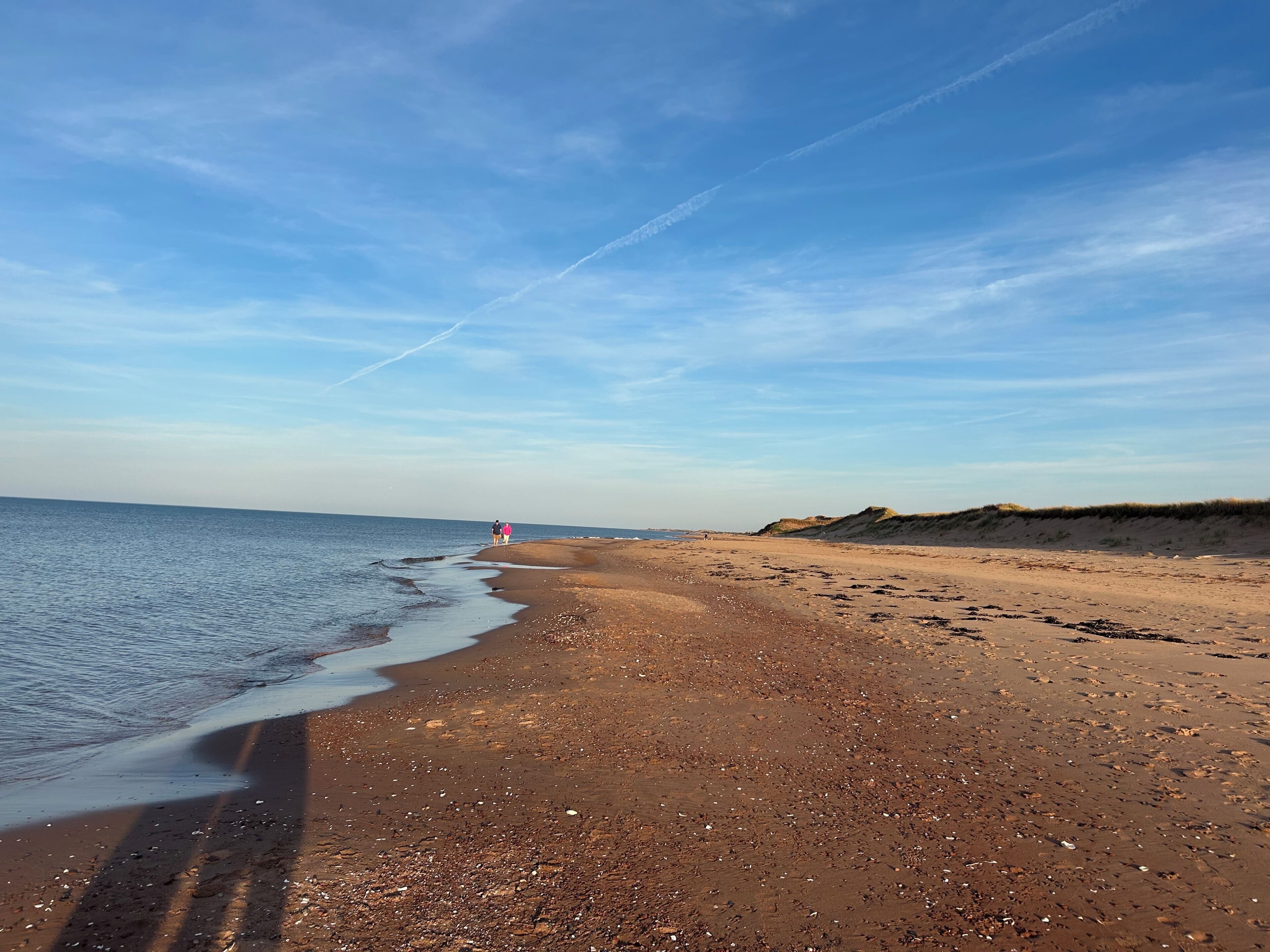 Chaises longues, serviettes de plage