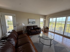 Smart TV, DVD player, books, video library