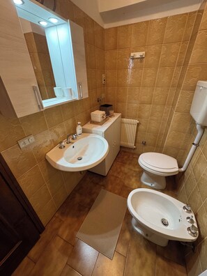 Asciugacapelli, asciugamani, sapone, carta igienica