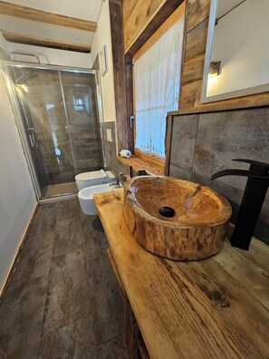 Shower, hair dryer, bidet, towels