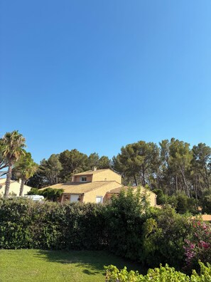 A residential property with a house, a lawn, and a dense tree line.