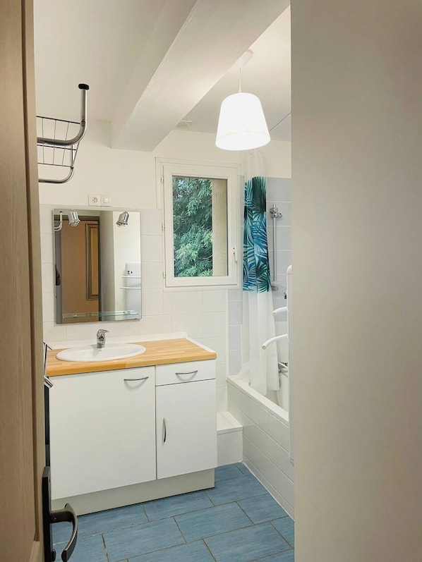Hair dryer, bidet, towels, toilet paper - Vineyard house (Veyre-Monton)