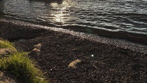 Vista para o lago com um cais, um barco e uma pessoa sentada na margem.