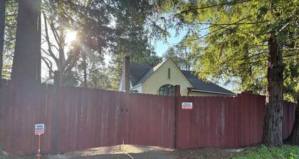 Mount Tam View from Storybook Tudor Style Home with 3BD/2BA+Office San Anselmo