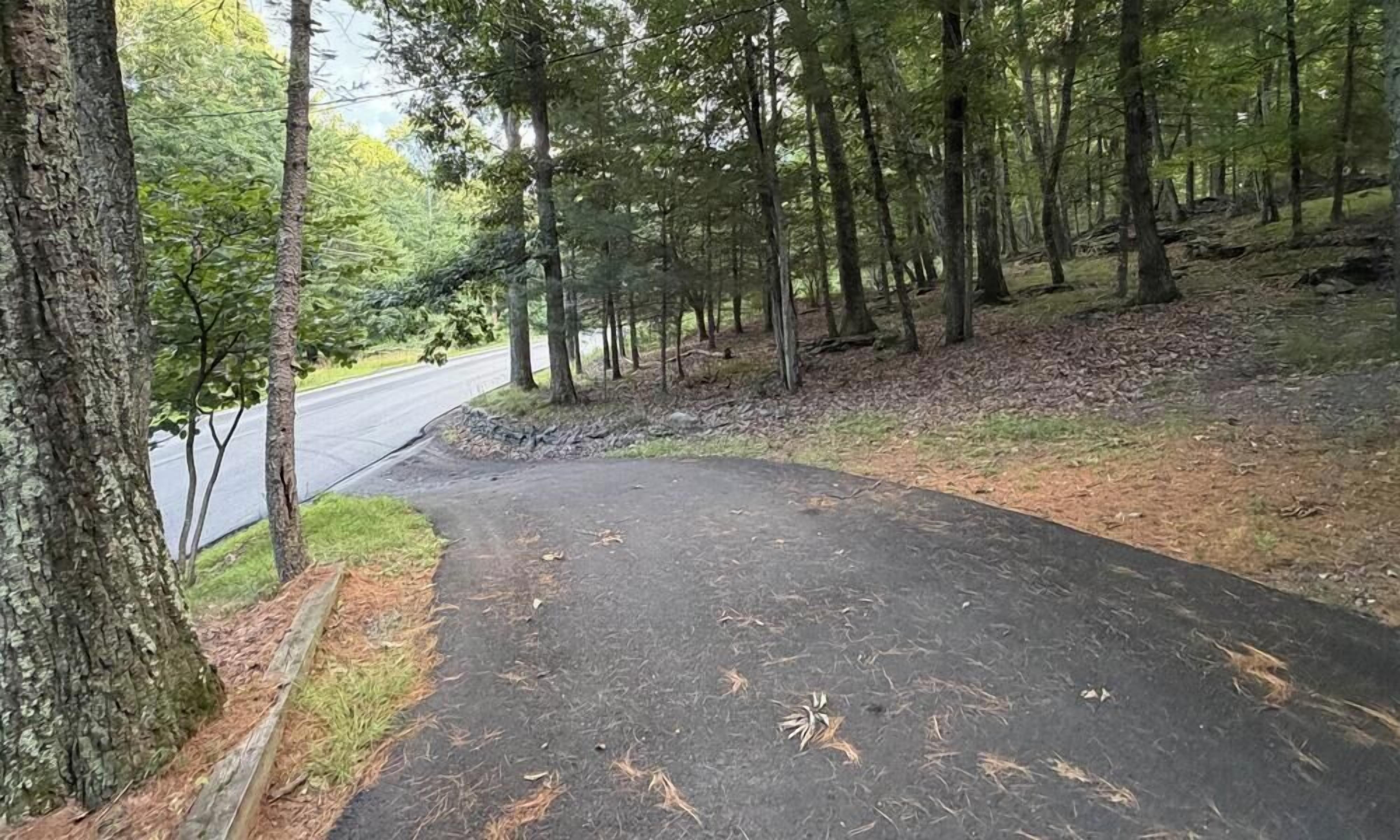 Un camí pavimentat en una zona boscosa, amb arbres i una carretera al fons.