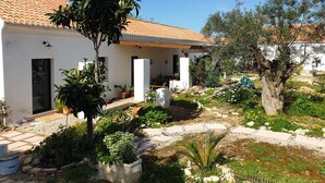 Un bâtiment blanc, doté d’un toit en tuiles, entouré d’un jardin où poussent différentes plantes et un arbre.