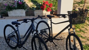 Un vélo est garé sur un chemin pavé de pierres, et un panier est fixé à l’arrière.