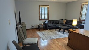 Smart TV, fireplace, books