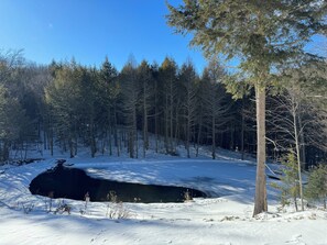 Miscellaneous - Belleayre Mountain Private Luxury Ski Retreat (Fleischmanns)