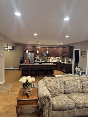 Smart TV - Belleayre Mountain Private Luxury Ski Retreat (Fleischmanns)