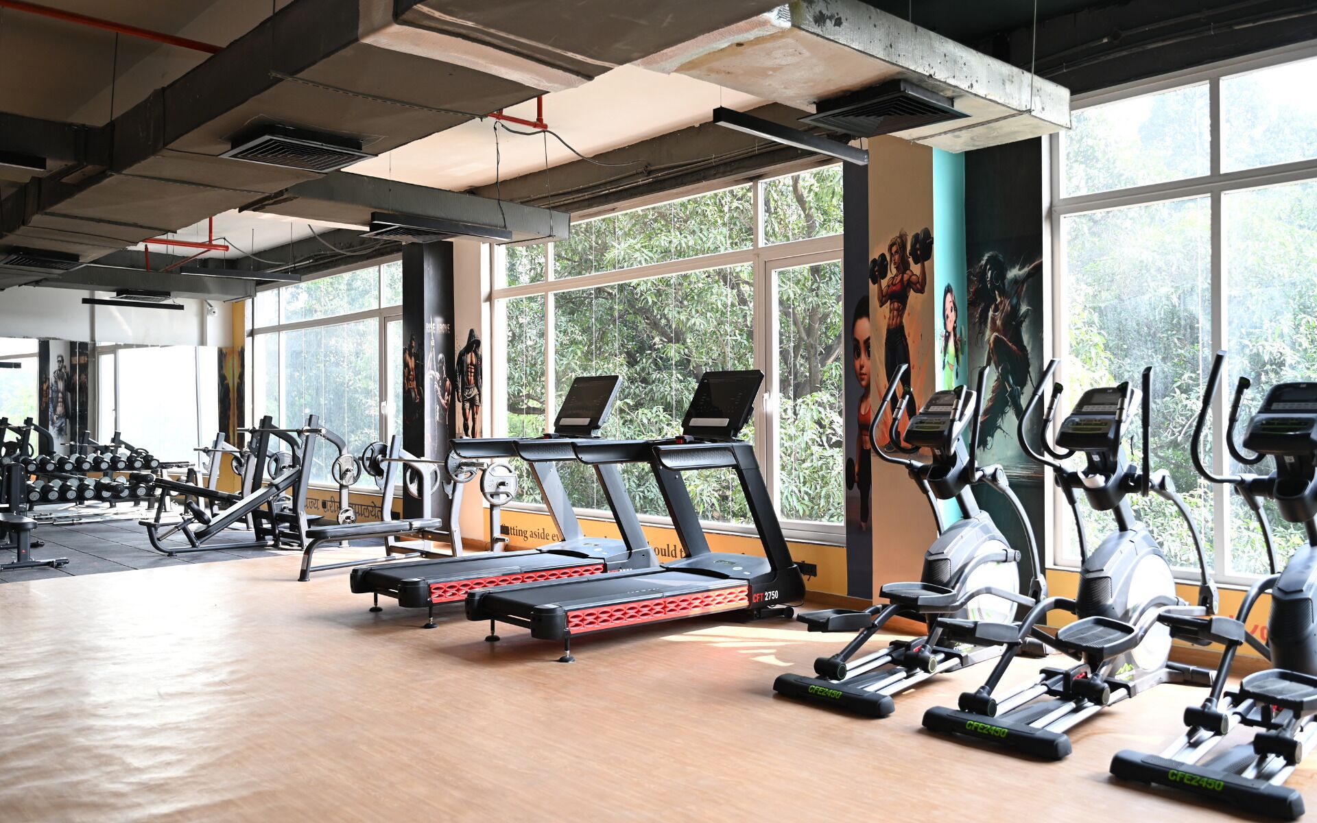 A gym with treadmills, elliptical machines, and weight machines.