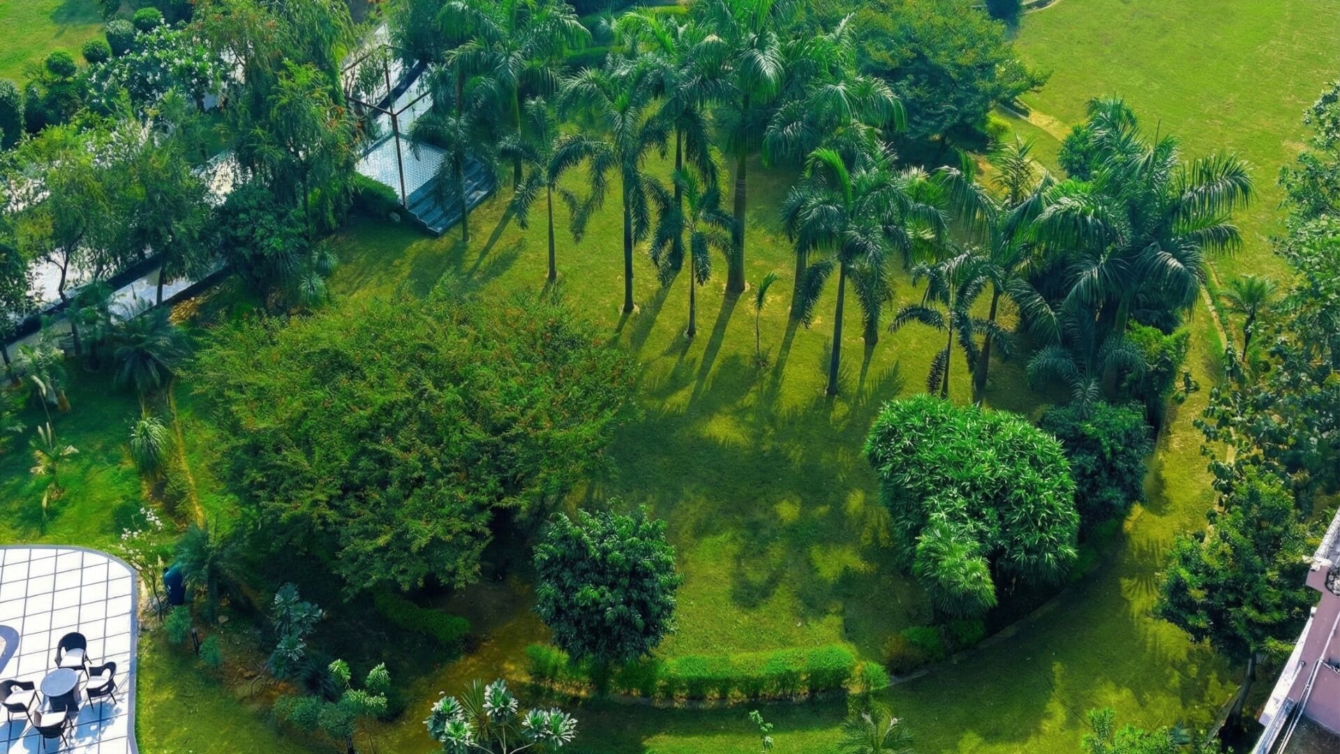 Vista aérea de un jardín exuberante con palmeras, una fuente circular de agua y una zona pavimentada con sillas.