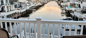 Pet friendly 3-bedroom house with saltwater heated pool. EV charger.