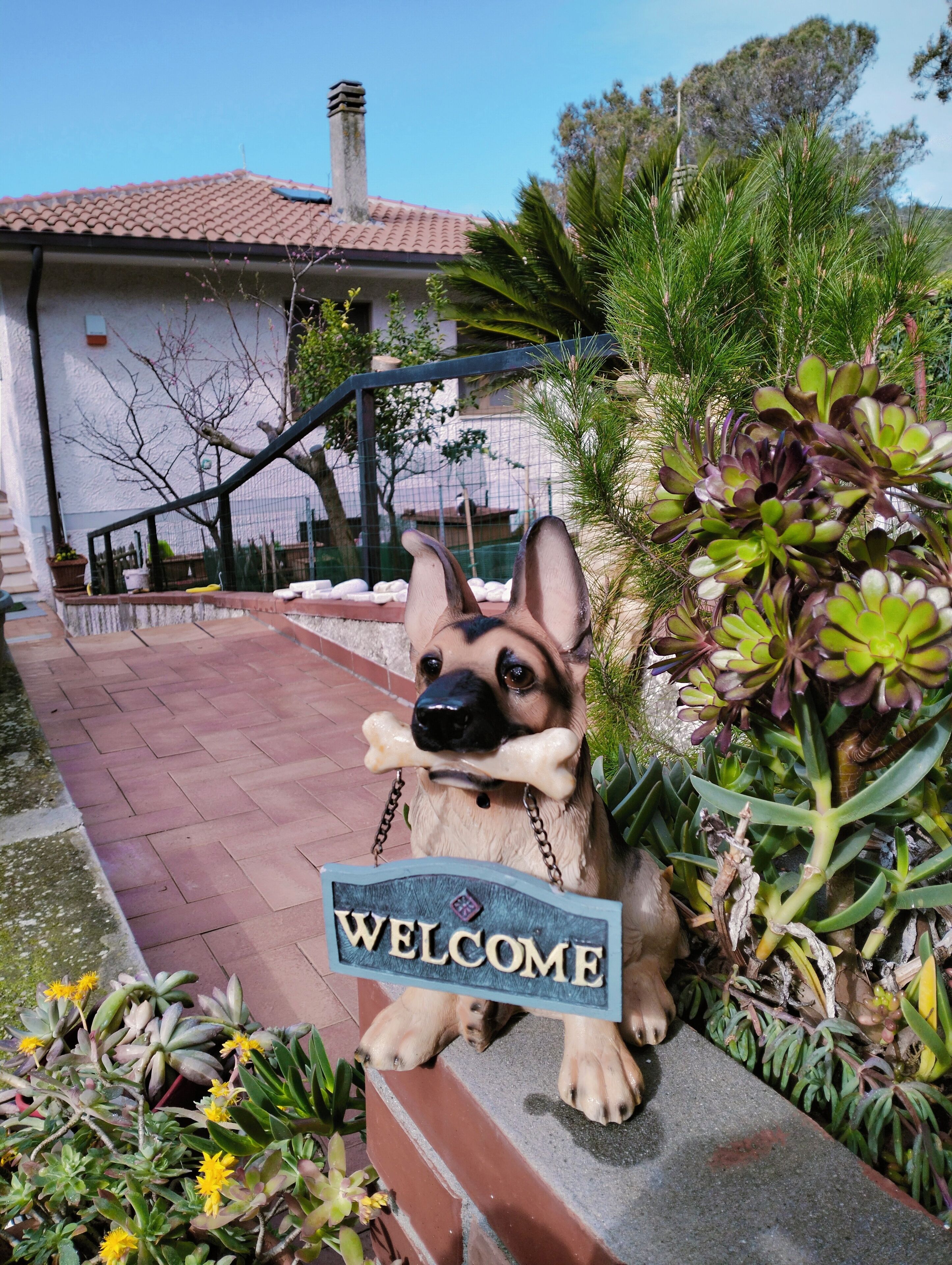 Détail de l’extérieur