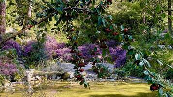 Overnattingsstedets uteområder