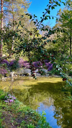 Overnattingsstedets uteområder