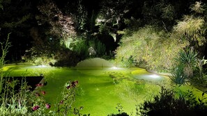 A tranquil garden with a pond, lush greenery, and a variety of plants. - L'Autre Paradis, Natural Pools, Beaches, Enchanted Garden, Sauna (Poligny)