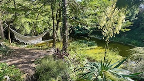 A hammock in a lush garden with a pond and dense foliage. - L'Autre Paradis, Natural Pools, Beaches, Enchanted Garden, Sauna (Poligny)