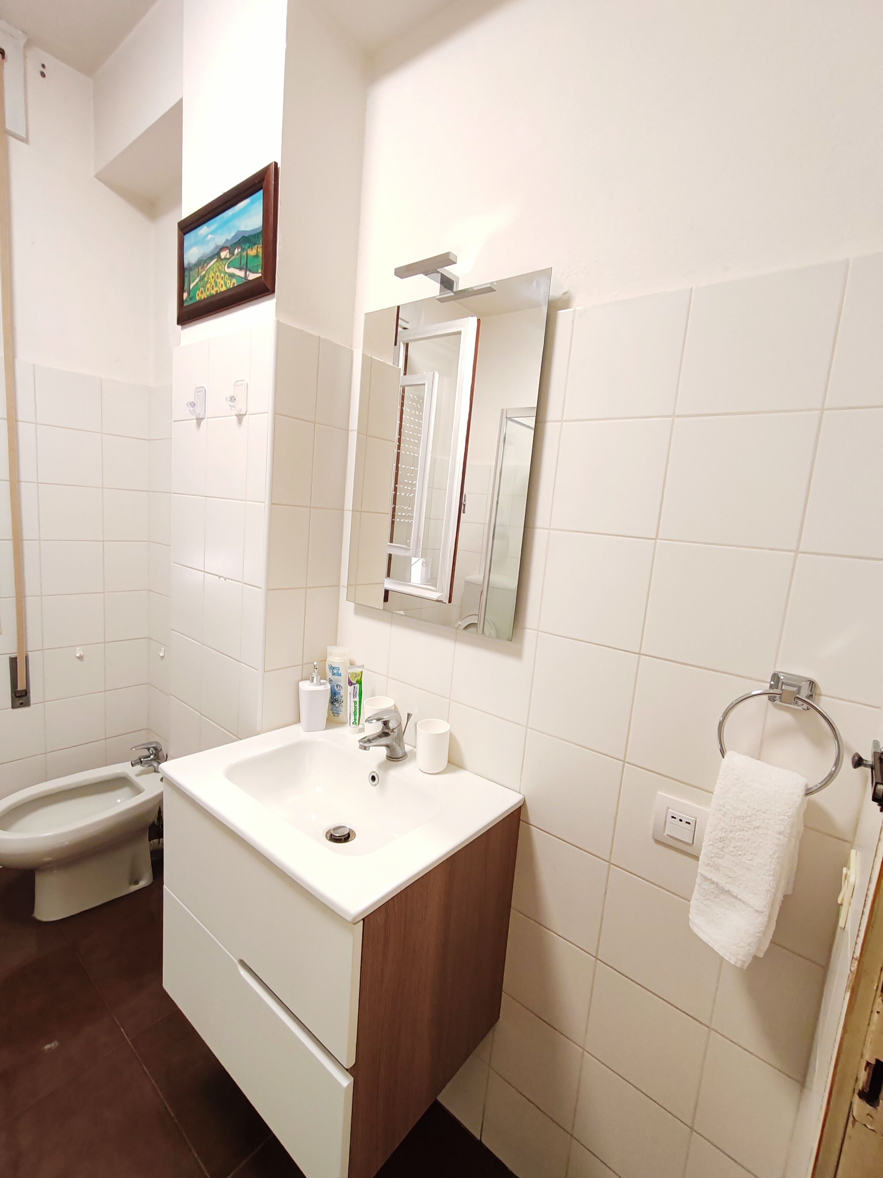 Dusche, Haartrockner, Bidet, Handtücher