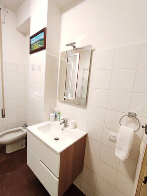 Dusche, Haartrockner, Bidet, Handtücher