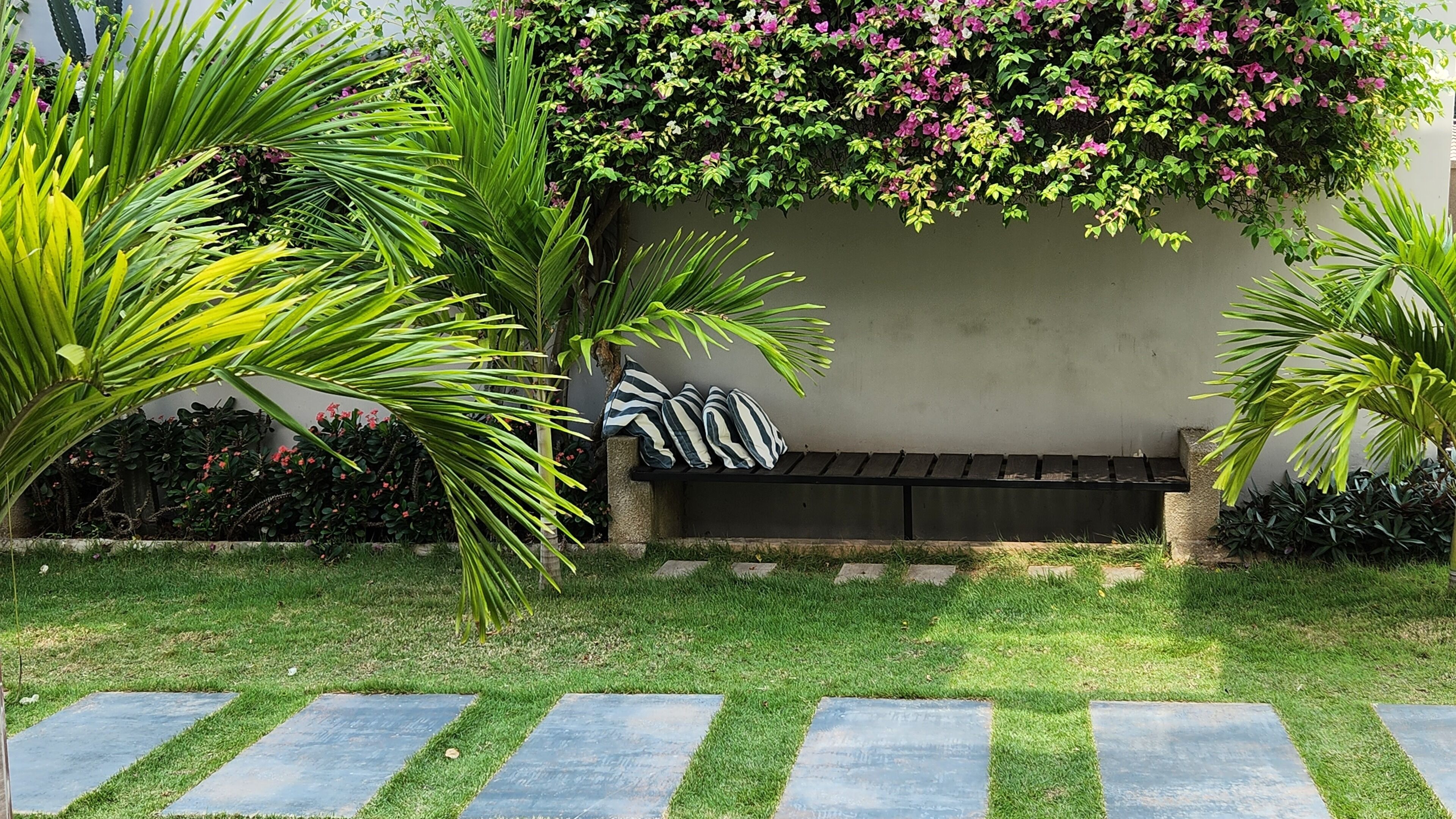 A garden with a bench, palm trees, and a wall covered with flowers.