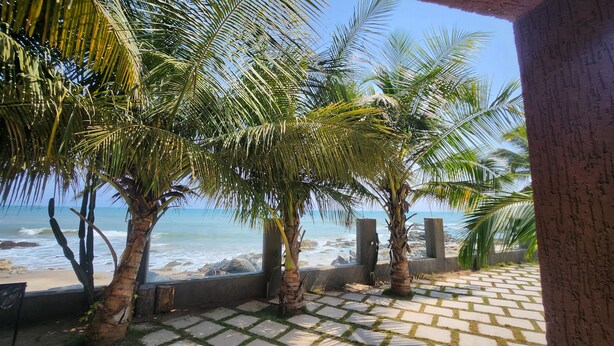 A beachside patio with palm trees and a view of the ocean.