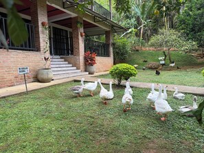 Jardines del alojamiento