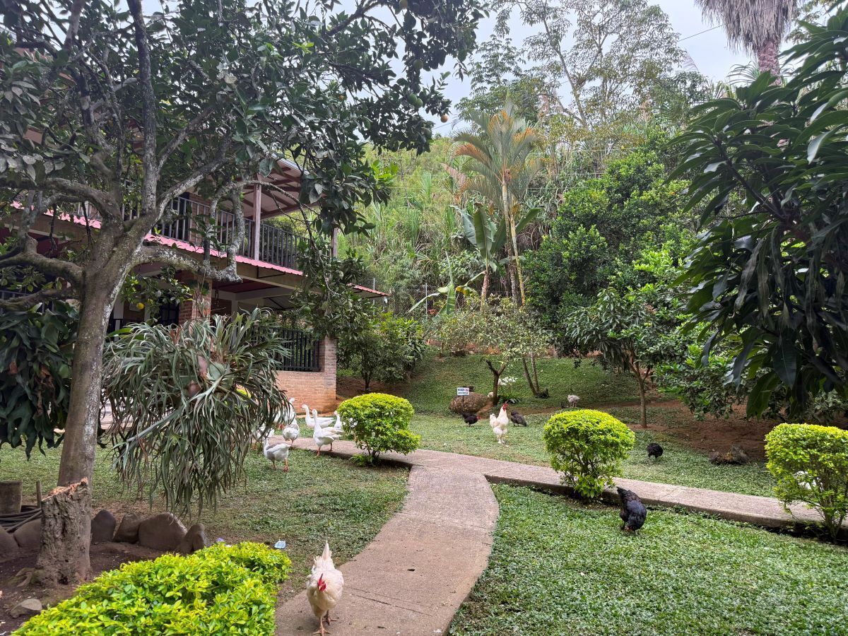 Jardines del alojamiento