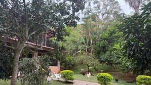 A garden with a pathway, various trees, and a building with a red roof.