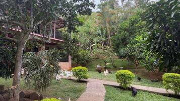 Jardines del alojamiento