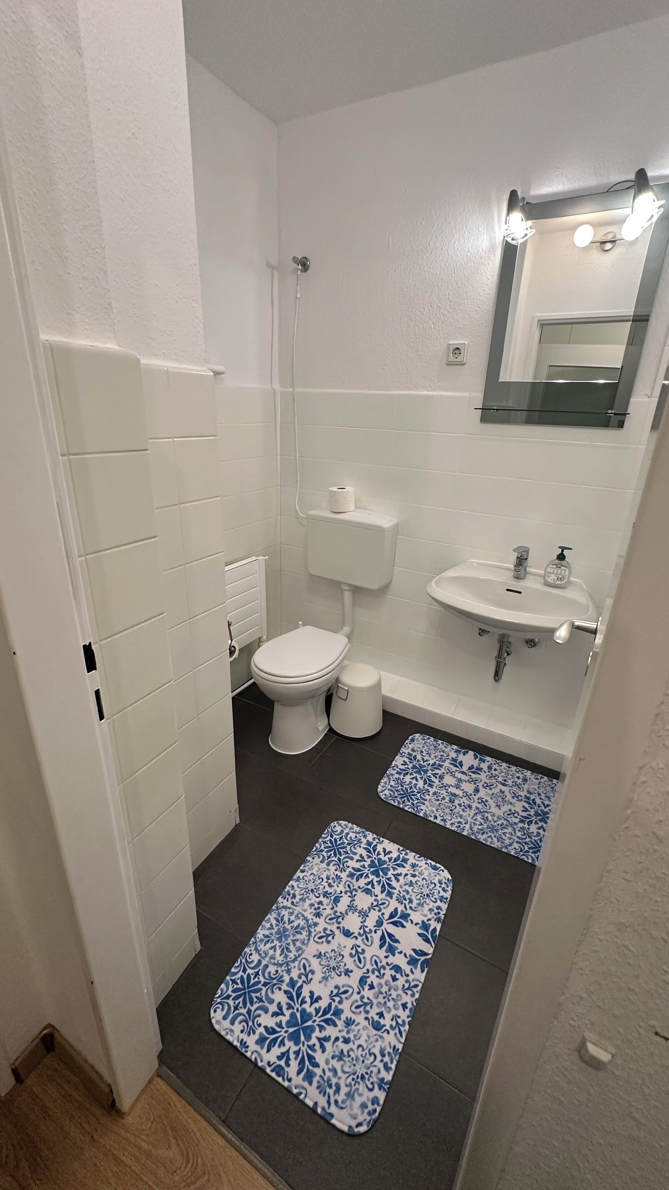 Haartrockner, Handtücher, Seife, Toilettenpapier