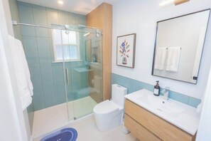 Shower, hair dryer, shampoo - Charming Single Family Home - Free 3 car parking (Washington)