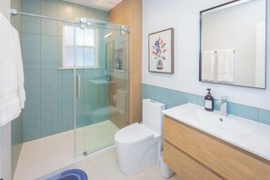Shower, hair dryer, shampoo - Charming Single Family Home - Free 3 car parking (Washington)