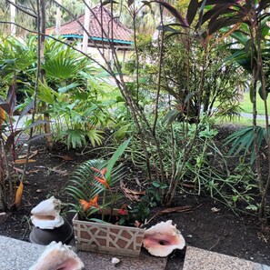 Terrein van de accommodatie